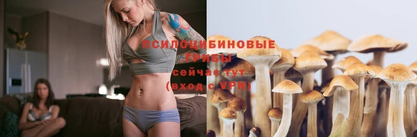 первитин Пересвет