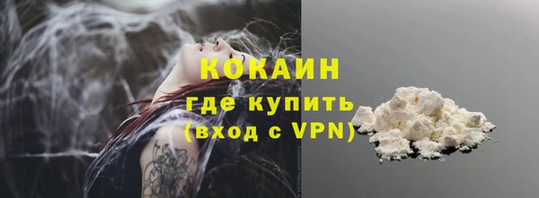 хмурый Осинники