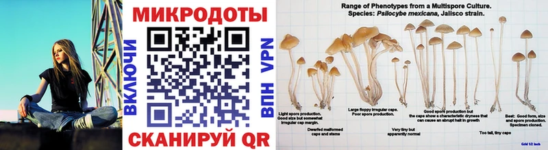 как найти   Спас-Деменск  Галлюциногенные грибы ЛСД 